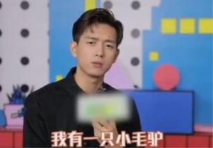 李现最新爆料消息,揭秘演艺圈幕后故事